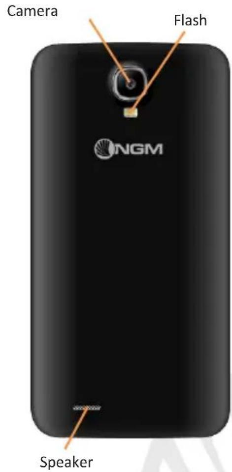NGM Dynamic Life - Main Menu - 3