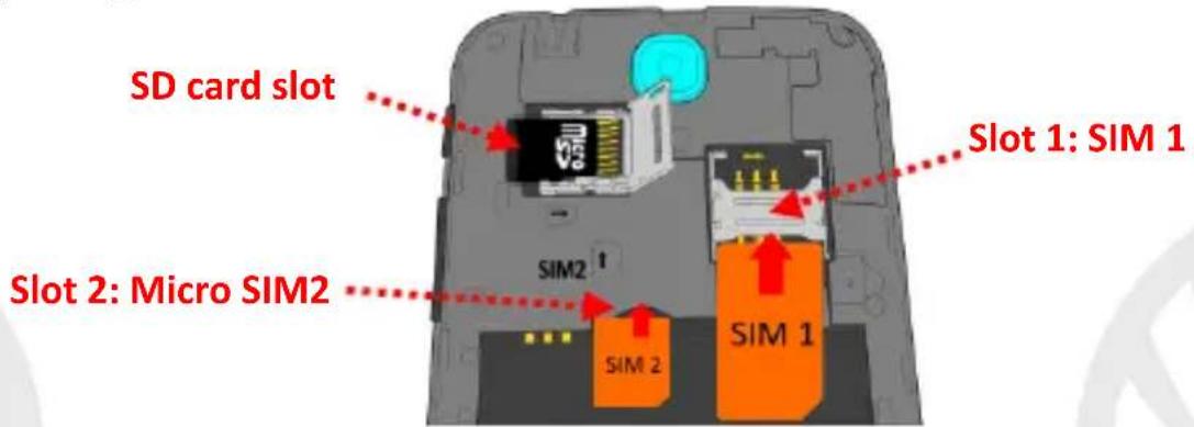NGM Dynamic Life - Setup - 1