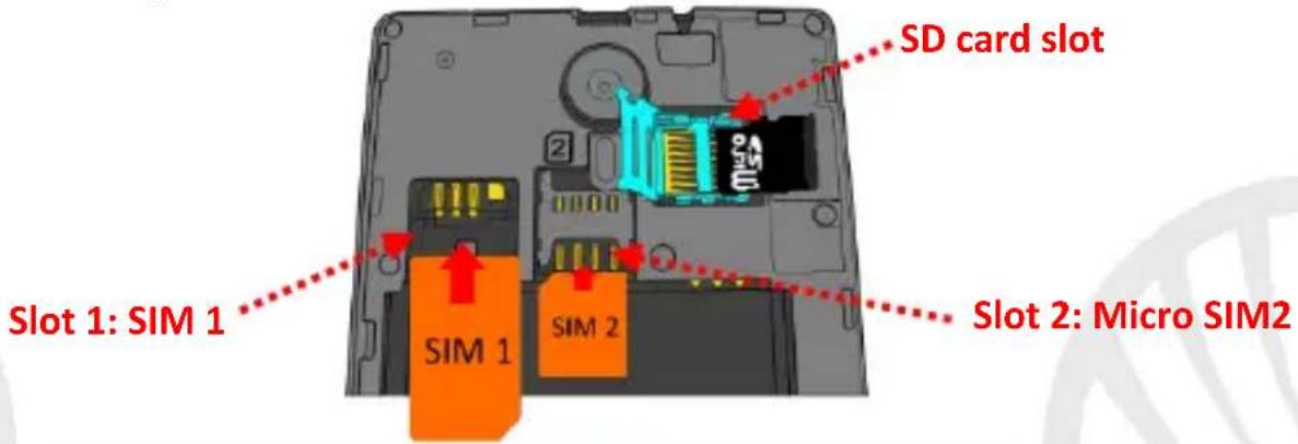 NGM Dynamic spirit - Set up - 1