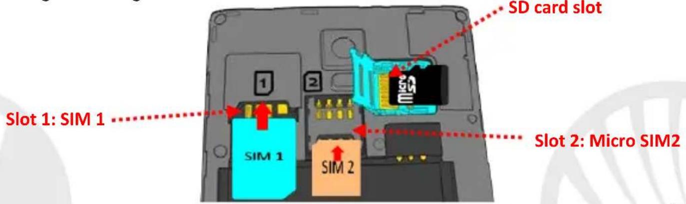 NGM Dynamic Time - Setup - 1