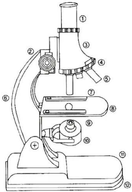 TASCO 5TN - INSTRUCTIONES PARA LOS MODELOS TELESCOPICOS 5TN / 49TN / 45T / 54TN - 1