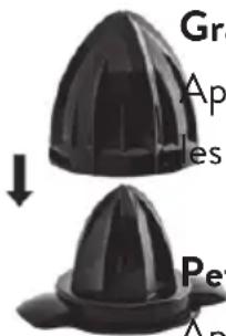 Springlane Paula - ACCESSIONS - 1