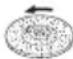 HITACHI G 18SH2 - ATTENZIONE - 4