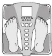 TANITA BC585F - OBTENDO LEITURA PRECISA - 1