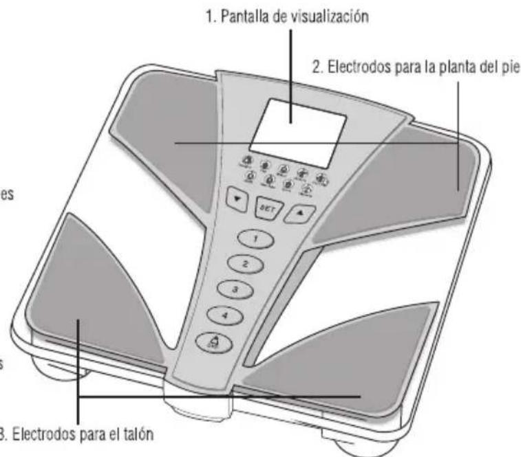 TANITA BC585F - PRESTACIONES Y FUNCIONES - 2