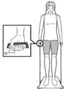 TANITA InnerScan BC558 - Uw uitlezingen zien: Auto Display Process - 1