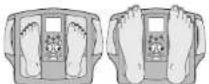 TANITA InnerScan BC558 - OBTENDO LEITURA PRECISA - 1