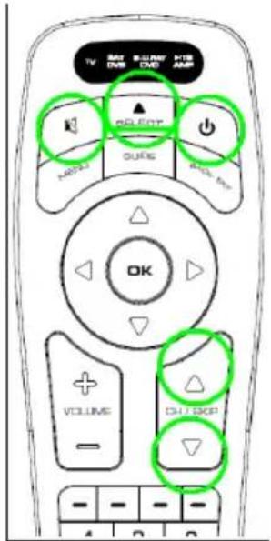 TITAN UR 2300 - Manual and Automatic code search - 1