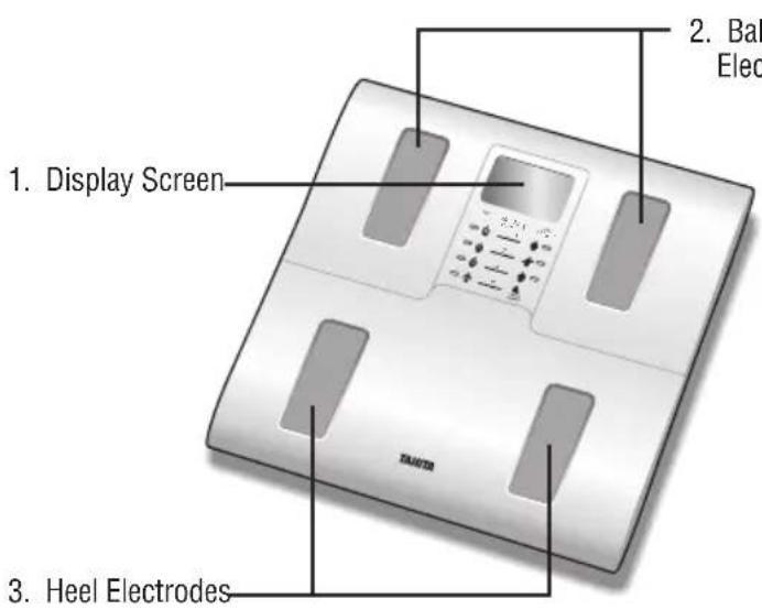 TANITA InnerScan BC583 - Features and functions - 1