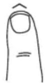 TANITA InnerScan BC583 - Gaststand orogrammeren - 1
