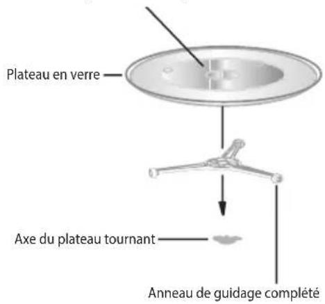 ECG MTD 2590 GBS - INSTALLATION DU PLATEAU TOURNANT - 1
