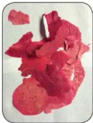 DOMO DO325VD - Fruit leather - 1