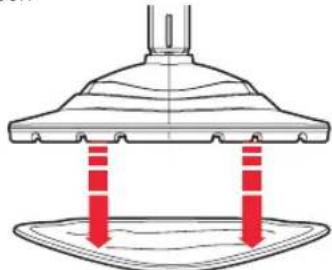 TAURUS 948030 - Using in upright steam mode - 2