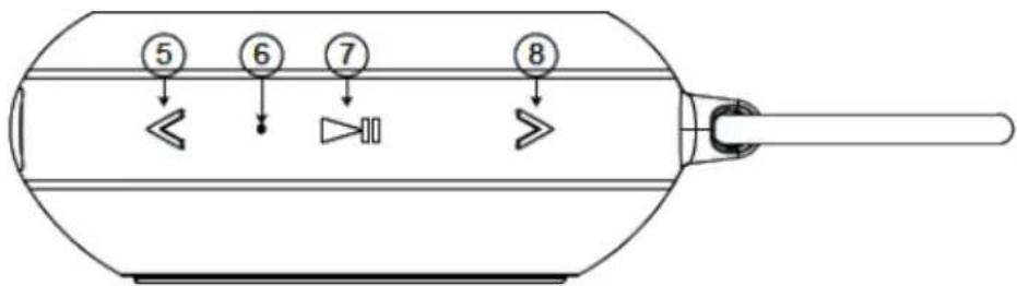 ECG BTS Elysium S1 - OPIS - 3