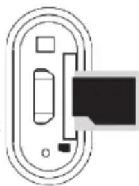 ECG BTS Elysium S1 - Lecture de musique depuis une carte micro SD - 1