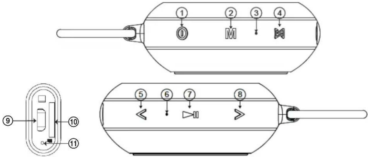 ECG BTS Elysium S1 - KIRJELDUS - 1