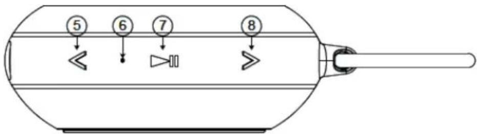 ECG BTS Elysium S1 - POPIS - 3