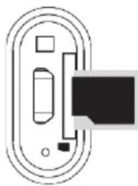 ECG BTS Elysium S1 - Muzikos paleistis iš „Micro SD“ kortelès - 1