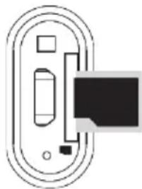 ECG BTS Elysium S1 - Riproduurre musica da una scheda micro SDd - 1