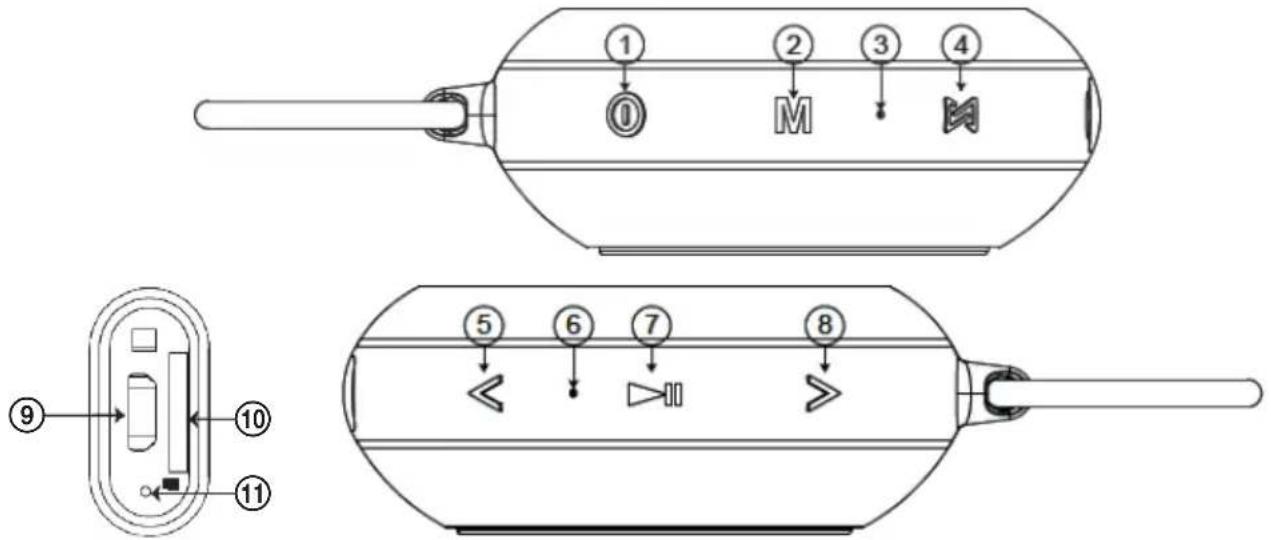 ECG BTS Elysium S1 - APRAKSTS - 1