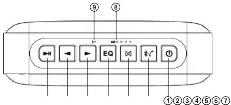 ECG BTS Elysium M1 - DESCRIPTION - 1