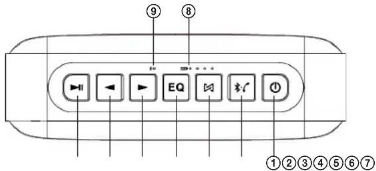ECG BTS Elysium M1 - OPIS - 1