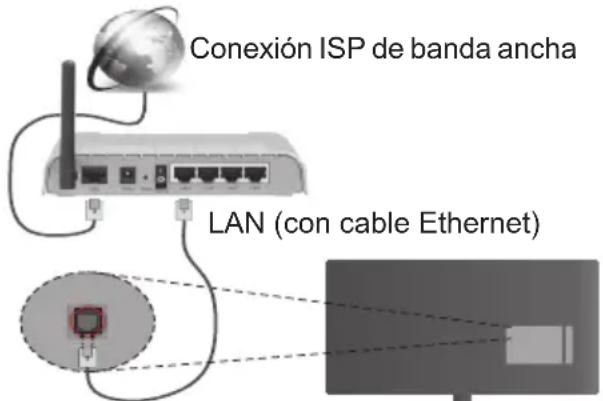 Finlux FL5022SMART - Conexión a Redes Alámbricas - 1