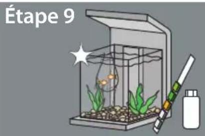 SuperFish Wave 30 - La mise en service de votre aquarium: - 10