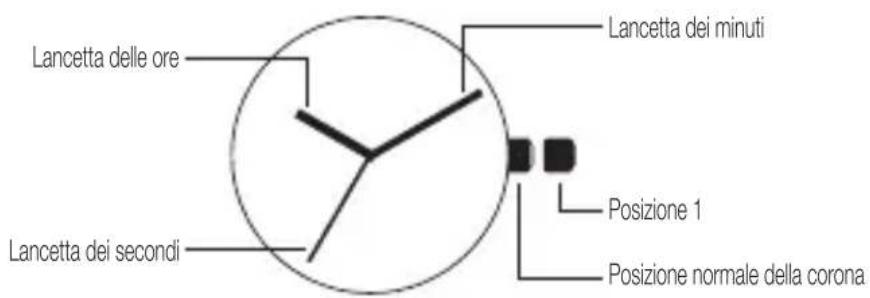 BRAUN BN0221 - Italiano - 1