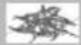 SEVERIN KM 3923 - Takuu - 8