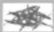 SEVERIN KM 3923 - Garantie - 7