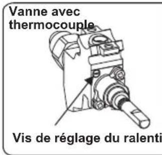 PROLINE PMC 65WF - Réglage de la position minimale de la flamme : - 1