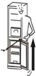 PROLINE PLC234WH - INVERSIONDESPORTES - 2