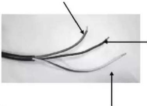 PROLINE P601IMCIXT - Elektrische aansluiting - 1