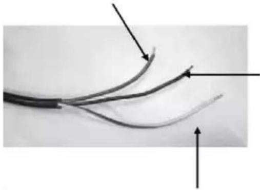 PROLINE P601IMCIXT - ELECTRICAL CONNECTION - 1