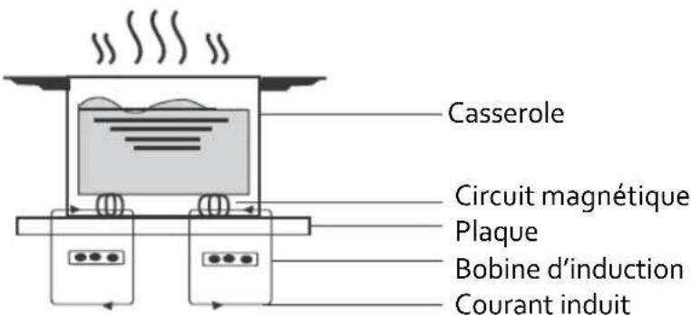 PROLINE IH352 - PRINCIPLE DE FONCTIONNEMENT DE L'INDUCTION - 1