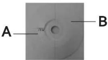 DOMO DO8125 - BEFORE THE FIRST USE - 1