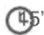 Qilive Q.5959 - VELOUTE DE POTIRON - 2