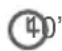 Qilive Q.5959 - MILKSHAKE MANGO-PEPENE GALBEN - 2