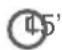 Qilive Q.5959 - PARADICSOM KRÉMLEVES OLÍVAOLAJJAL - 2