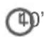 Qilive Q.5959 - SUPĂ DE PĂDURE CU ALUNE - 2