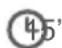 Qilive Q.5959 - VELLUTATA DI ZUCCA - 2