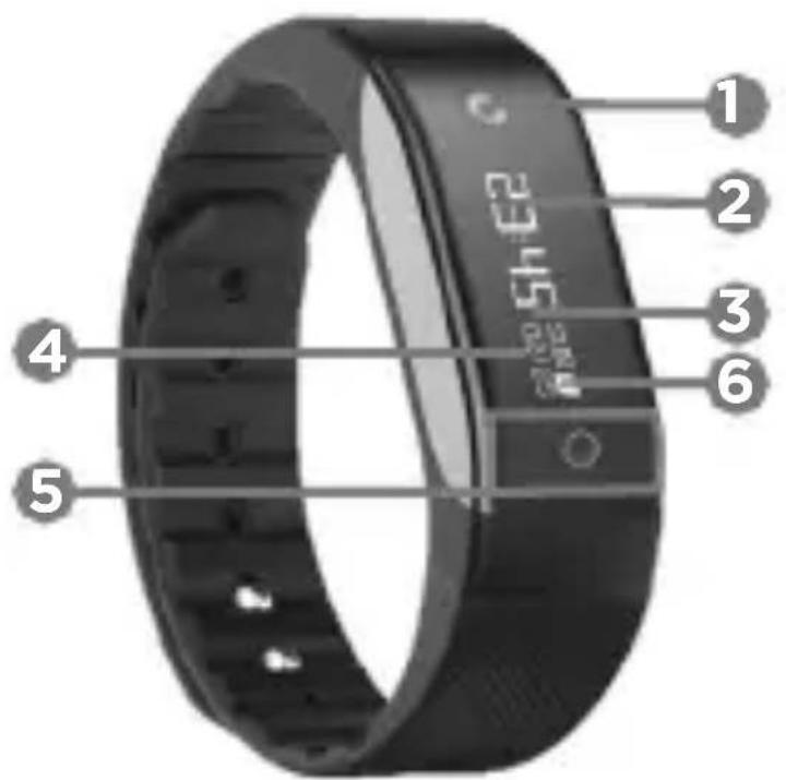 Qilive Q.4954 - 1.Опсанne - 1