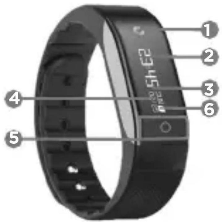 Qilive Q.4954 - Descrizione - 2