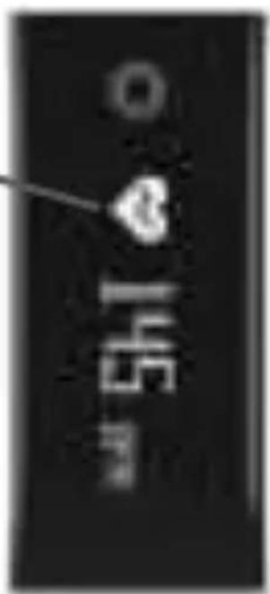 Qilive Q.4954 - Nével de Sinal - 4