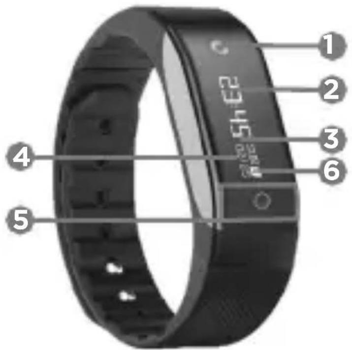 Qilive Q.4954 - Descrierea produsului - 1