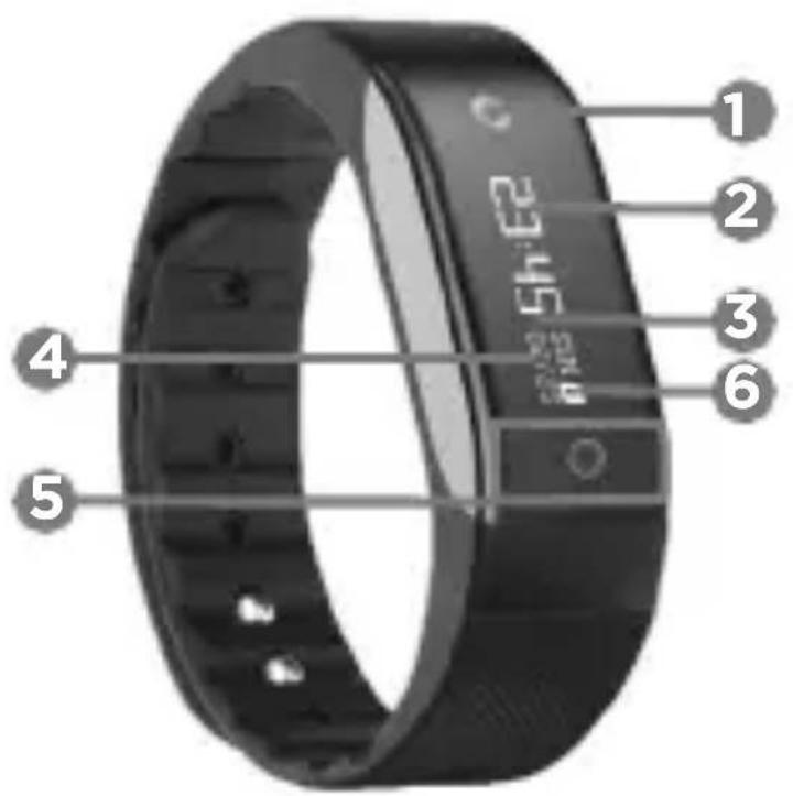 Qilive Q.4954 - Opis - 1