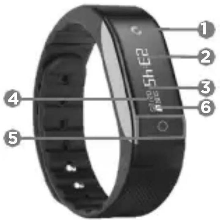 Qilive Q.4954 - Leirás - 1