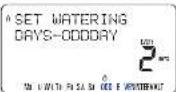 ORBIT WaterMaster 91028 - OPZIONI "ODD OR EVEN" (PARTO DISPARI) - 1