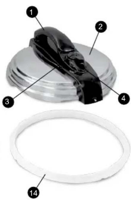 PALSON Sapore Plus - Sapore Plus - 3